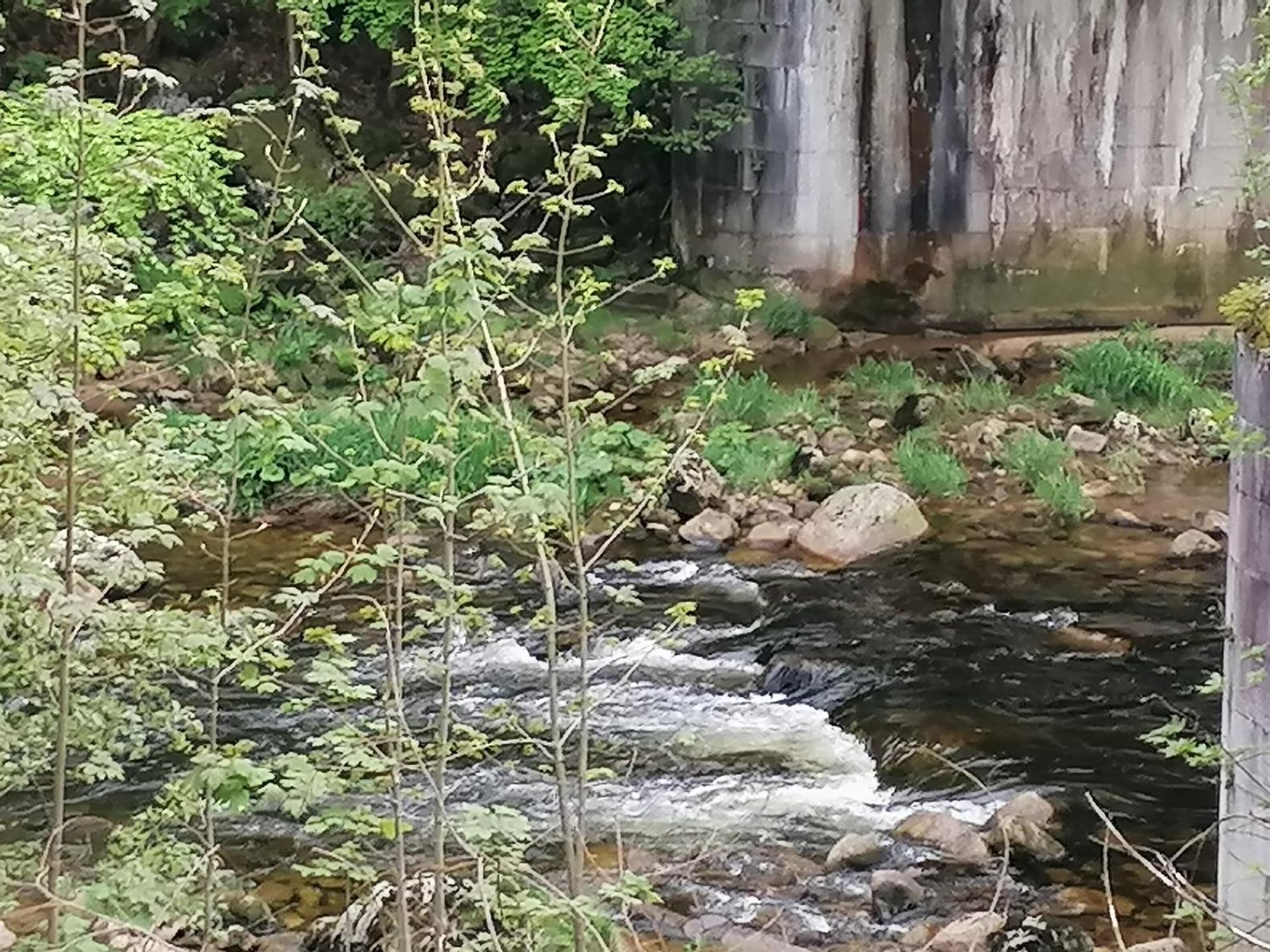 Hotel Hotylek Na Myte Harrachov Zewnętrze zdjęcie